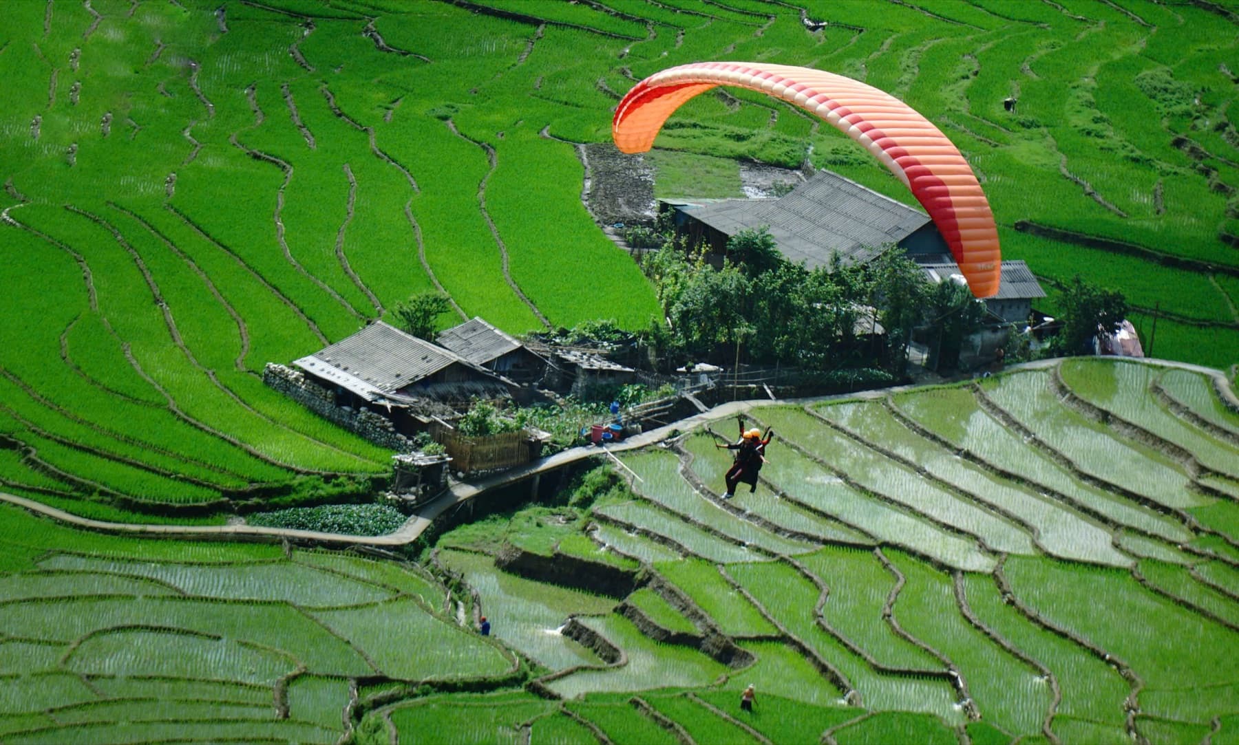 Quay GoPro, Camera 360 hay Flycam khi bay dù lượn: chọn gói nào để có video đẹp nhất?